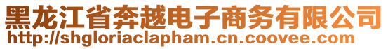 黑龍江省奔越電子商務(wù)有限公司