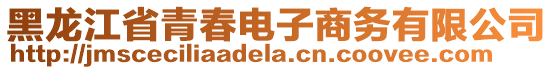 黑龍江省青春電子商務(wù)有限公司