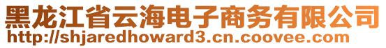 黑龍江省云海電子商務(wù)有限公司