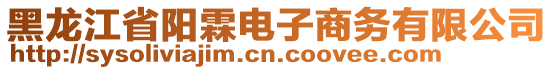 黑龍江省陽霖電子商務有限公司