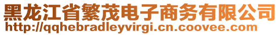 黑龍江省繁茂電子商務(wù)有限公司