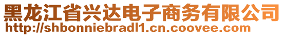 黑龍江省興達(dá)電子商務(wù)有限公司