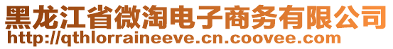 黑龍江省微淘電子商務(wù)有限公司