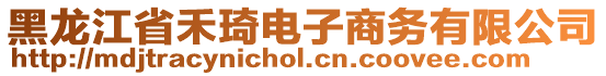 黑龍江省禾琦電子商務(wù)有限公司