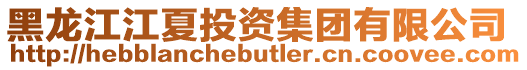 黑龍江江夏投資集團有限公司