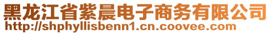 黑龍江省紫晨電子商務(wù)有限公司