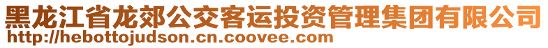 黑龍江省龍郊公交客運(yùn)投資管理集團(tuán)有限公司