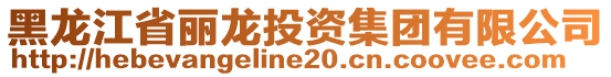 黑龍江省麗龍投資集團(tuán)有限公司