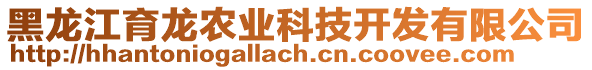 黑龍江育龍農(nóng)業(yè)科技開發(fā)有限公司