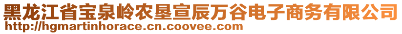 黑龍江省寶泉嶺農(nóng)墾宣辰萬谷電子商務(wù)有限公司