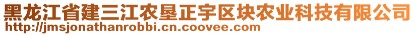 黑龍江省建三江農(nóng)墾正宇區(qū)塊農(nóng)業(yè)科技有限公司