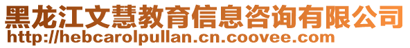 黑龍江文慧教育信息咨詢有限公司