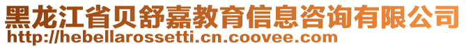 黑龍江省貝舒嘉教育信息咨詢有限公司