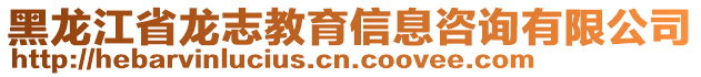 黑龍江省龍志教育信息咨詢有限公司