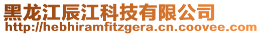 黑龍江辰江科技有限公司