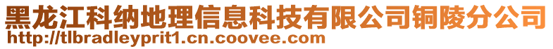 黑龍江科納地理信息科技有限公司銅陵分公司