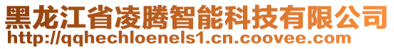 黑龍江省凌騰智能科技有限公司