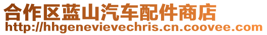 合作區(qū)藍(lán)山汽車配件商店