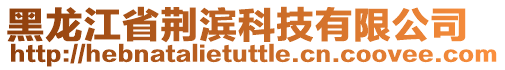 黑龍江省荊濱科技有限公司