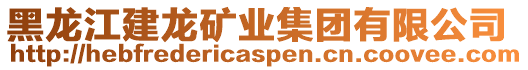 黑龍江建龍礦業集團有限公司