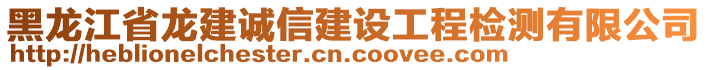 黑龍江省龍建誠(chéng)信建設(shè)工程檢測(cè)有限公司