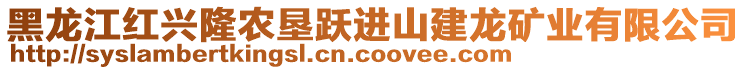 黑龍江紅興隆農(nóng)墾躍進(jìn)山建龍礦業(yè)有限公司