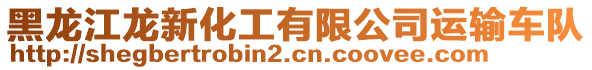 黑龍江龍新化工有限公司運輸車隊