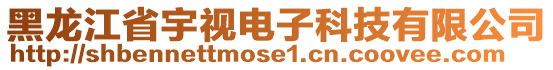 黑龍江省宇視電子科技有限公司