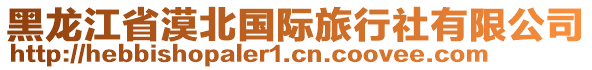 黑龍江省漠北國際旅行社有限公司