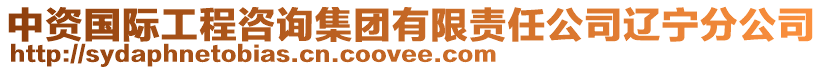 中資國(guó)際工程咨詢集團(tuán)有限責(zé)任公司遼寧分公司