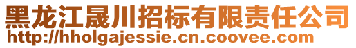 黑龍江晟川招標有限責任公司