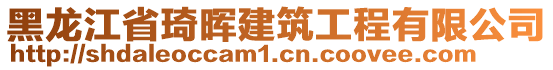 黑龍江省琦暉建筑工程有限公司