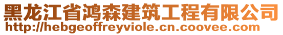 黑龍江省鴻森建筑工程有限公司