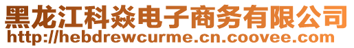 黑龍江科焱電子商務有限公司