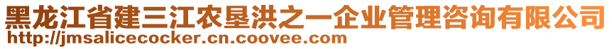 黑龍江省建三江農(nóng)墾洪之一企業(yè)管理咨詢有限公司