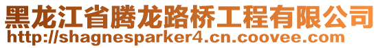 黑龍江省騰龍路橋工程有限公司