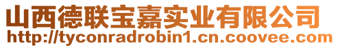 山西德聯寶嘉實業有限公司