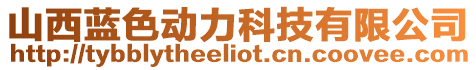 山西藍(lán)色動力科技有限公司