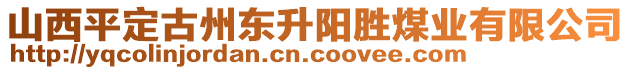 山西平定古州東升陽(yáng)勝煤業(yè)有限公司