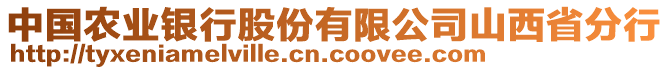 中國(guó)農(nóng)業(yè)銀行股份有限公司山西省分行