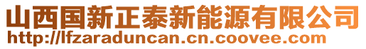 山西國(guó)新正泰新能源有限公司