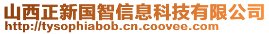 山西正新國(guó)智信息科技有限公司