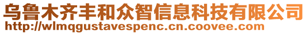 烏魯木齊豐和眾智信息科技有限公司