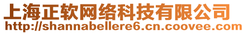 上海正軟網絡科技有限公司