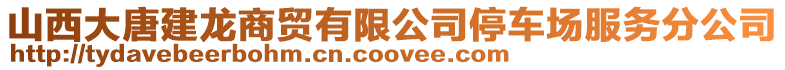 山西大唐建龍商貿有限公司停車場服務分公司