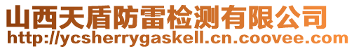 山西天盾防雷檢測有限公司