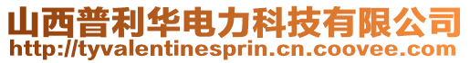 山西普利華電力科技有限公司