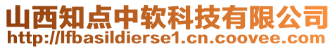 山西知點(diǎn)中軟科技有限公司