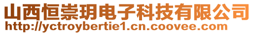 山西恒崇玥電子科技有限公司