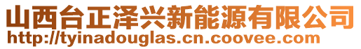 山西臺(tái)正澤興新能源有限公司